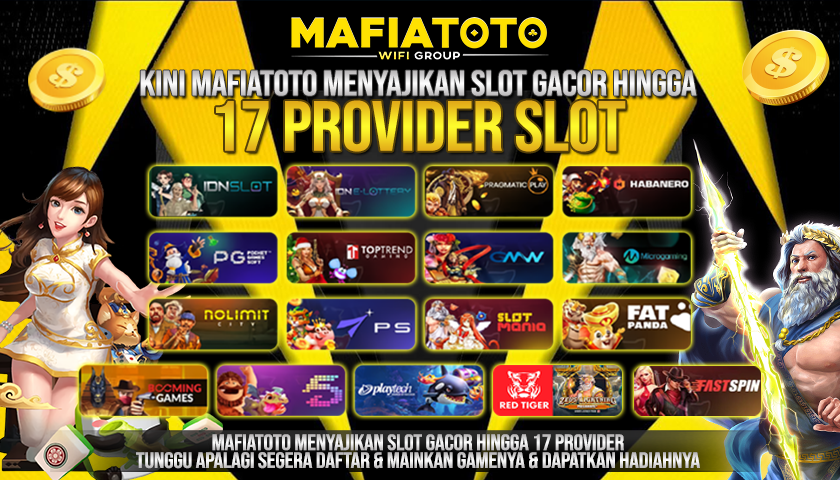 17 PROVIDER SLOT 